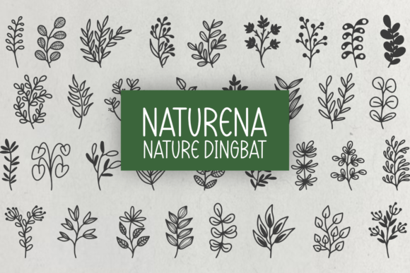 Naturena: A Botanical Sketch Dingbat Font for Creative Expression